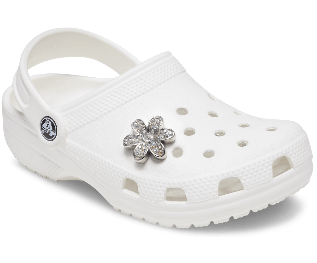 Silver Mnchrm Daisy 1